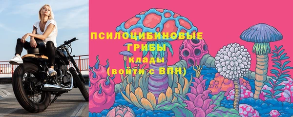 герыч Бородино