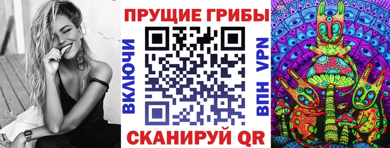 сколько стоит  Лукоянов  Псилоцибиновые грибы мицелий 